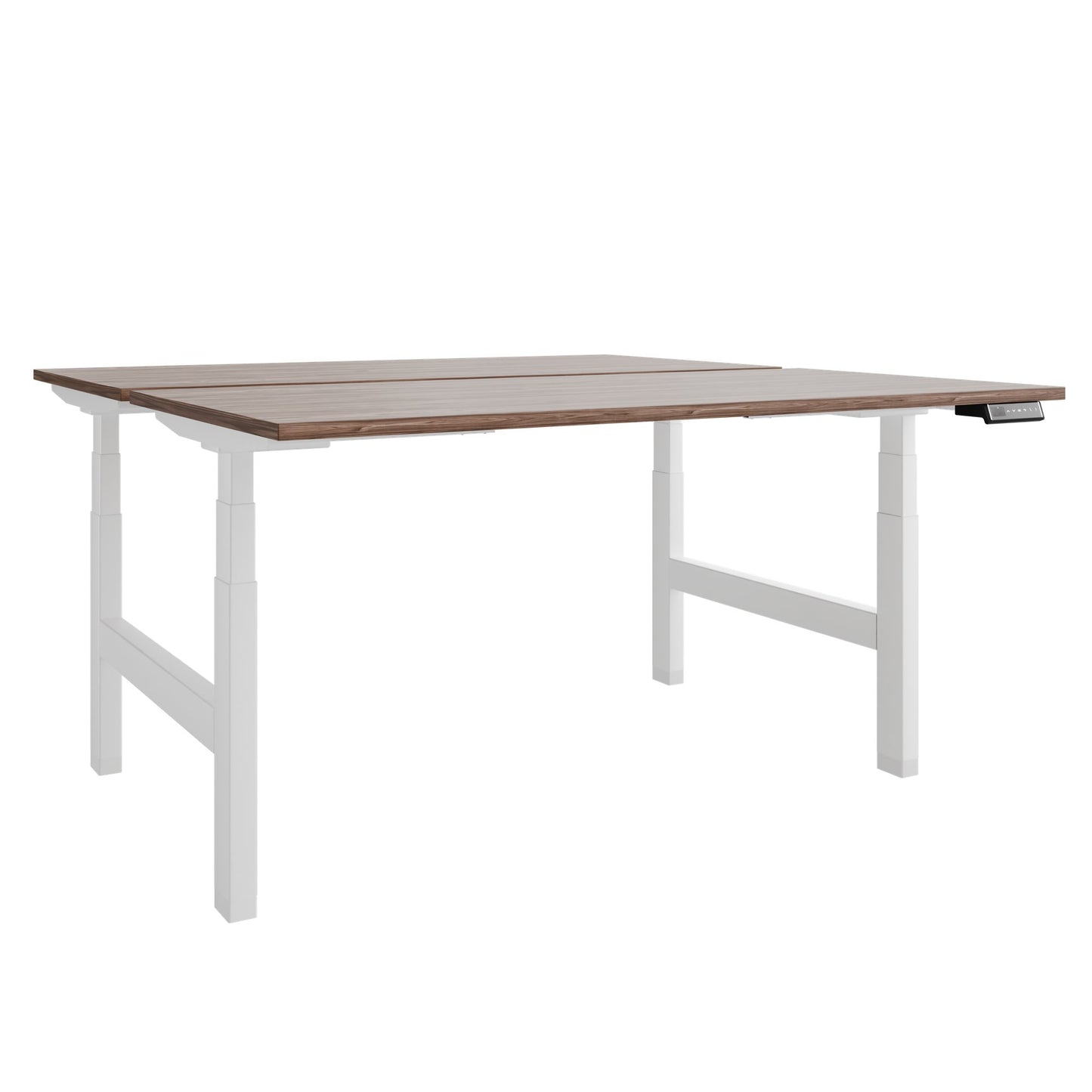 TELDRA Pro Team-Schreibtisch | 1600-1800 mm, elektrisch höhenverstellbar, Echtholz-Furnier Nussbaum