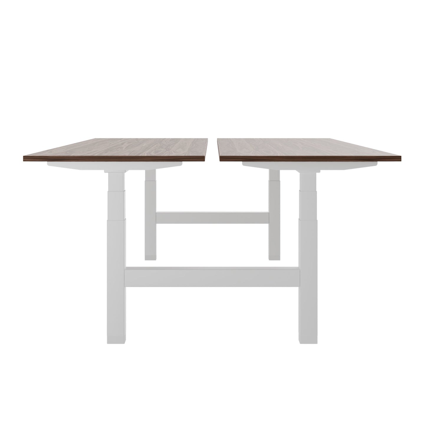 TELDRA Pro Team-Schreibtisch | 1600-1800 mm, elektrisch höhenverstellbar, Echtholz-Furnier Nussbaum