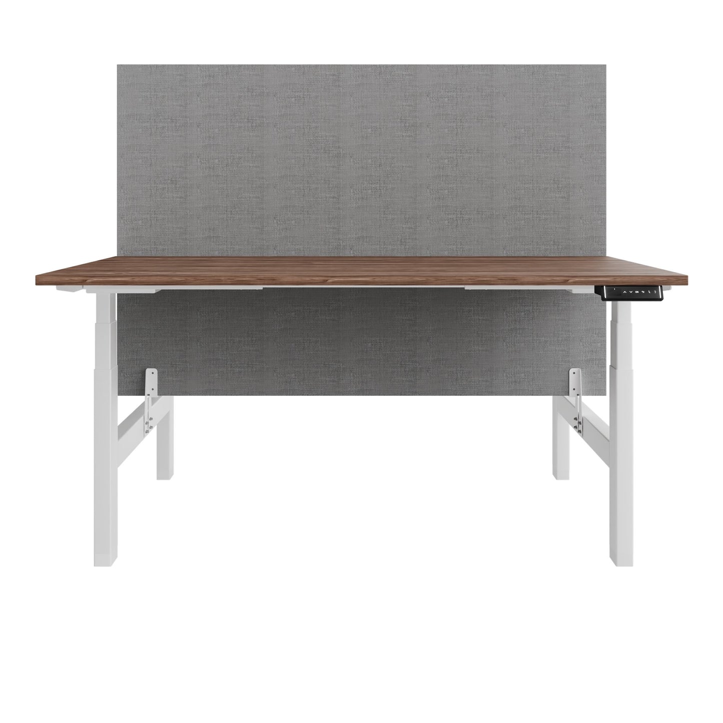 TELDRA Pro Team-Schreibtisch | 1600-1800 mm, elektrisch höhenverstellbar, Echtholz-Furnier Nussbaum