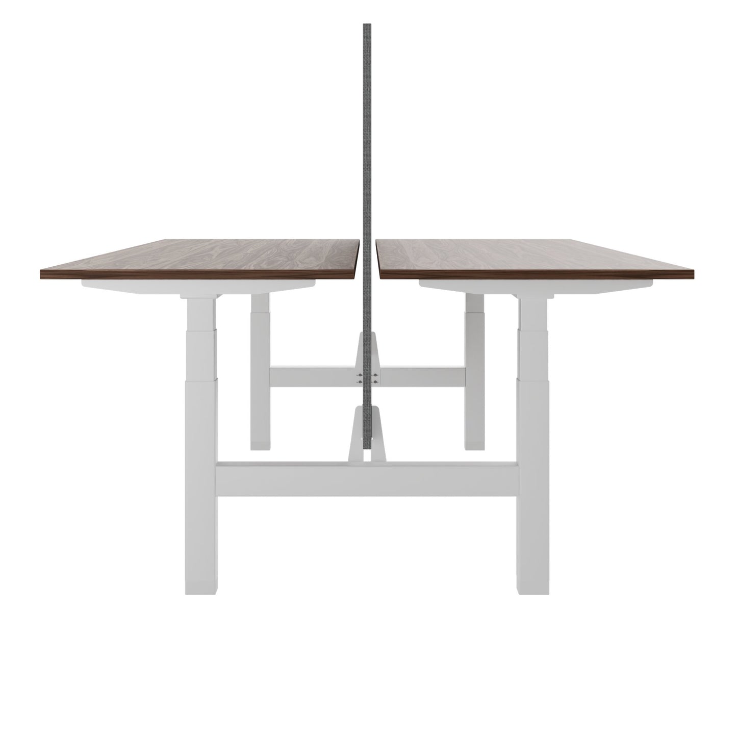 TELDRA Pro Team-Schreibtisch | 1600-1800 mm, elektrisch höhenverstellbar, Echtholz-Furnier Nussbaum