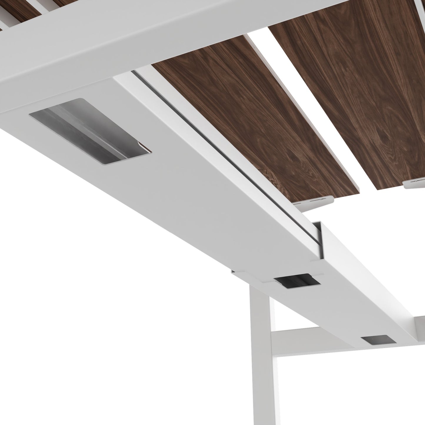 TELDRA Pro Team-Schreibtisch | 1600-1800 mm, elektrisch höhenverstellbar, Echtholz-Furnier Nussbaum