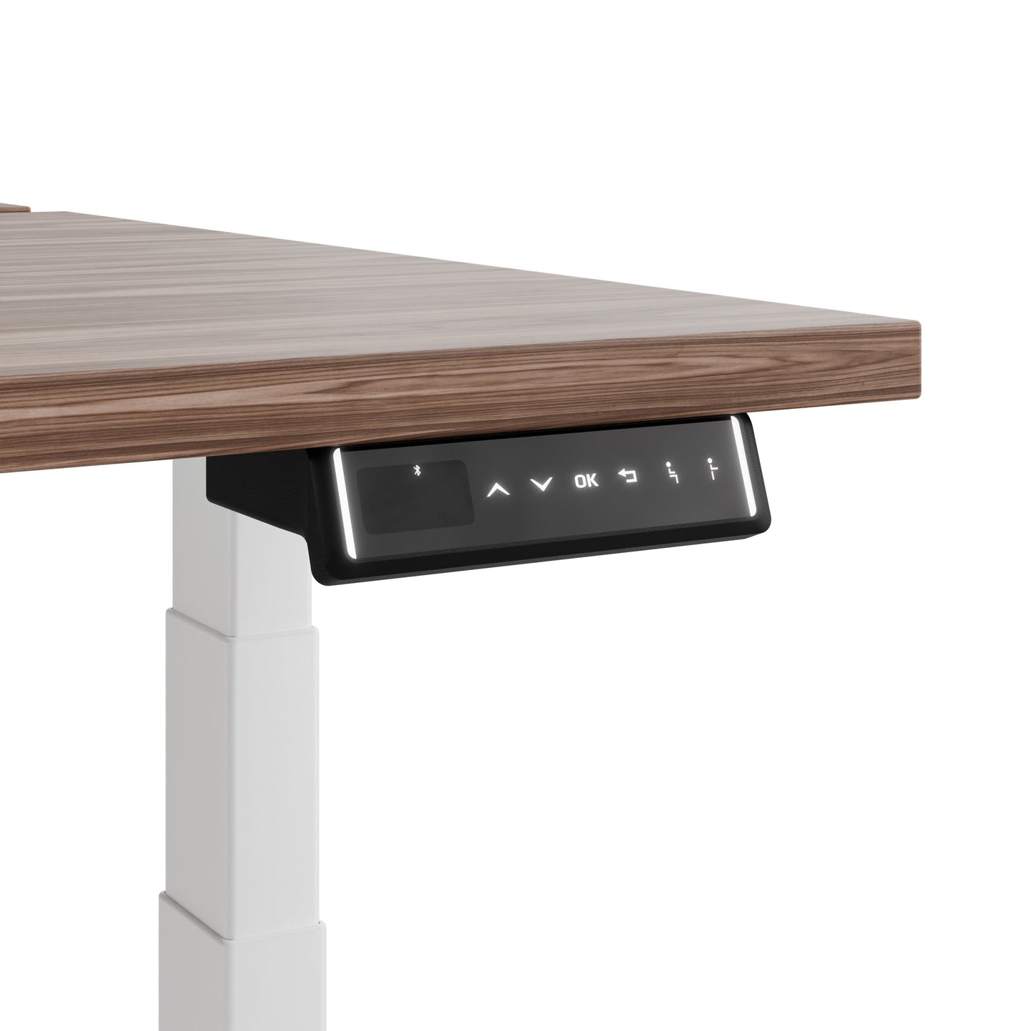 TELDRA Pro Team-Schreibtisch | 1600-1800 mm, elektrisch höhenverstellbar, Echtholz-Furnier Nussbaum