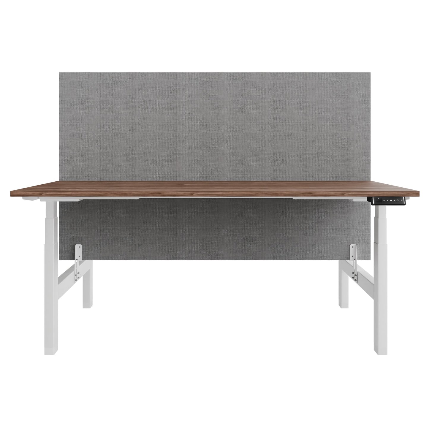 TELDRA Pro Team-Schreibtisch | 1600-1800 mm, elektrisch höhenverstellbar, Echtholz-Furnier Nussbaum