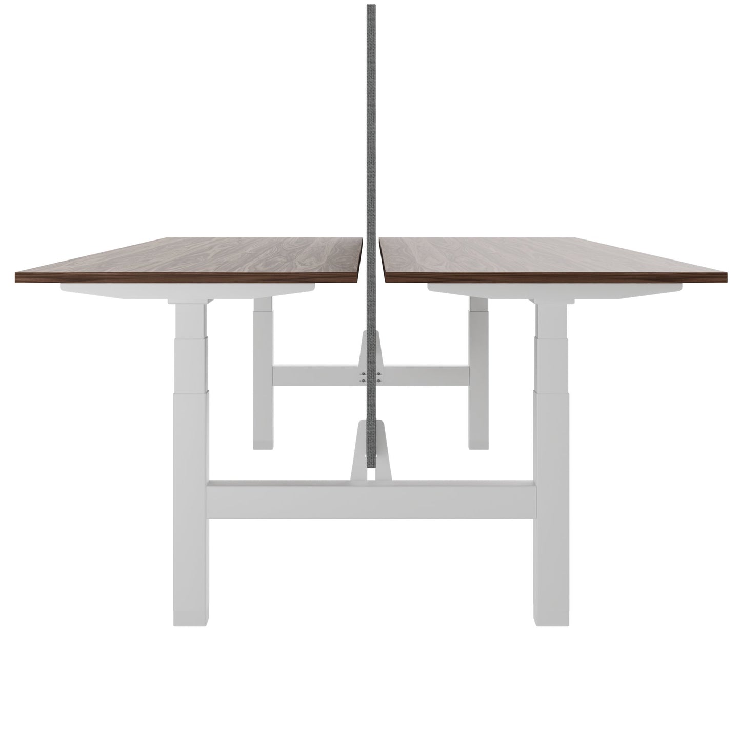 TELDRA Pro Team-Schreibtisch | 1600-1800 mm, elektrisch höhenverstellbar, Echtholz-Furnier Nussbaum