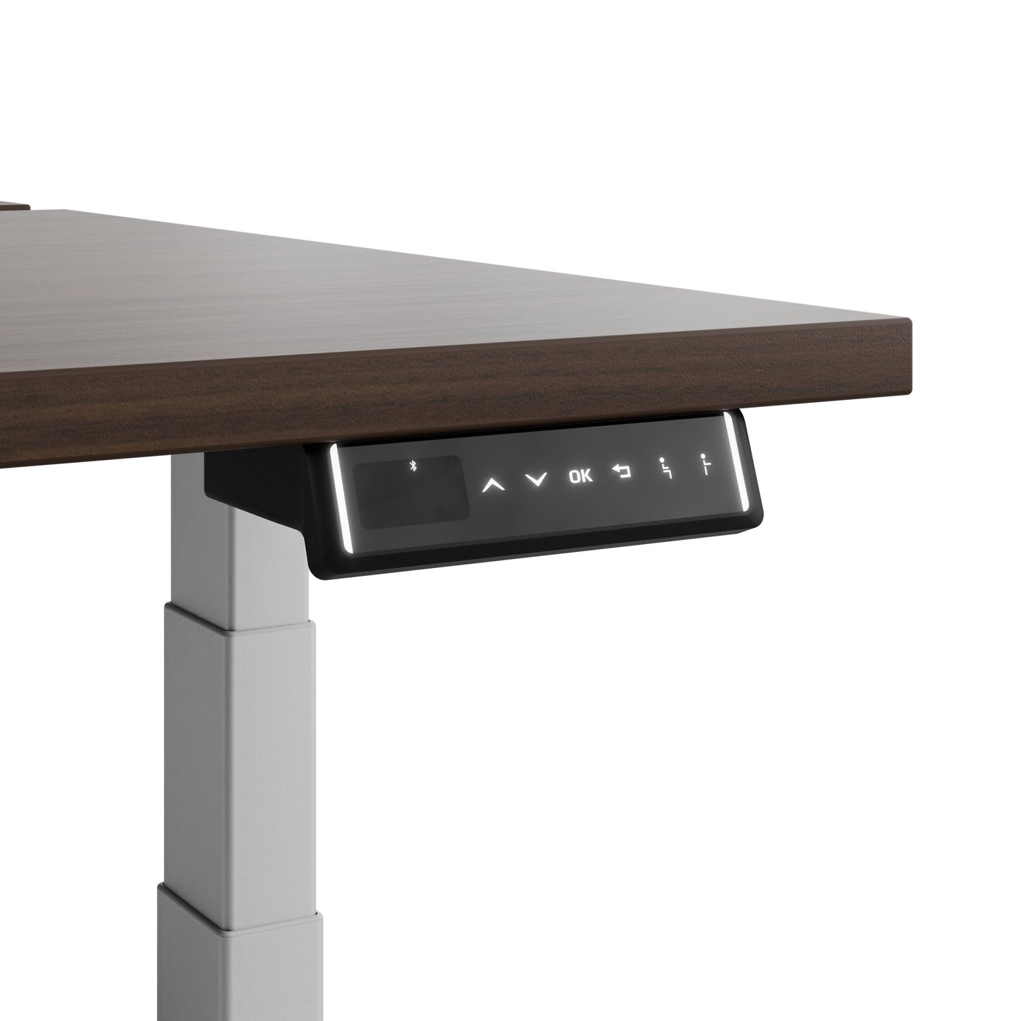 TELDRA Pro Team-Schreibtisch | 1600-1800 mm, elektrisch höhenverstellbar, Nussbaum