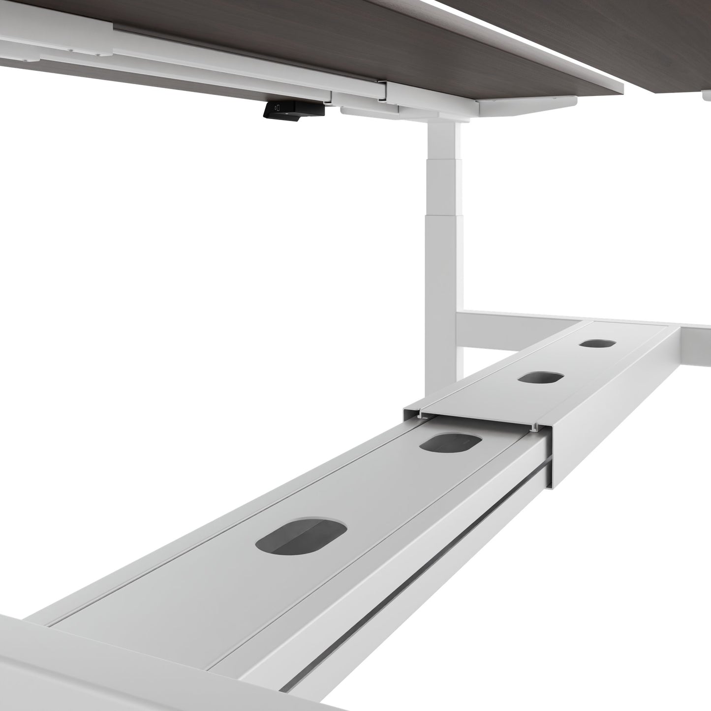 TELDRA Pro Team-Schreibtisch | 1600-1800 mm, elektrisch höhenverstellbar, Nussbaum