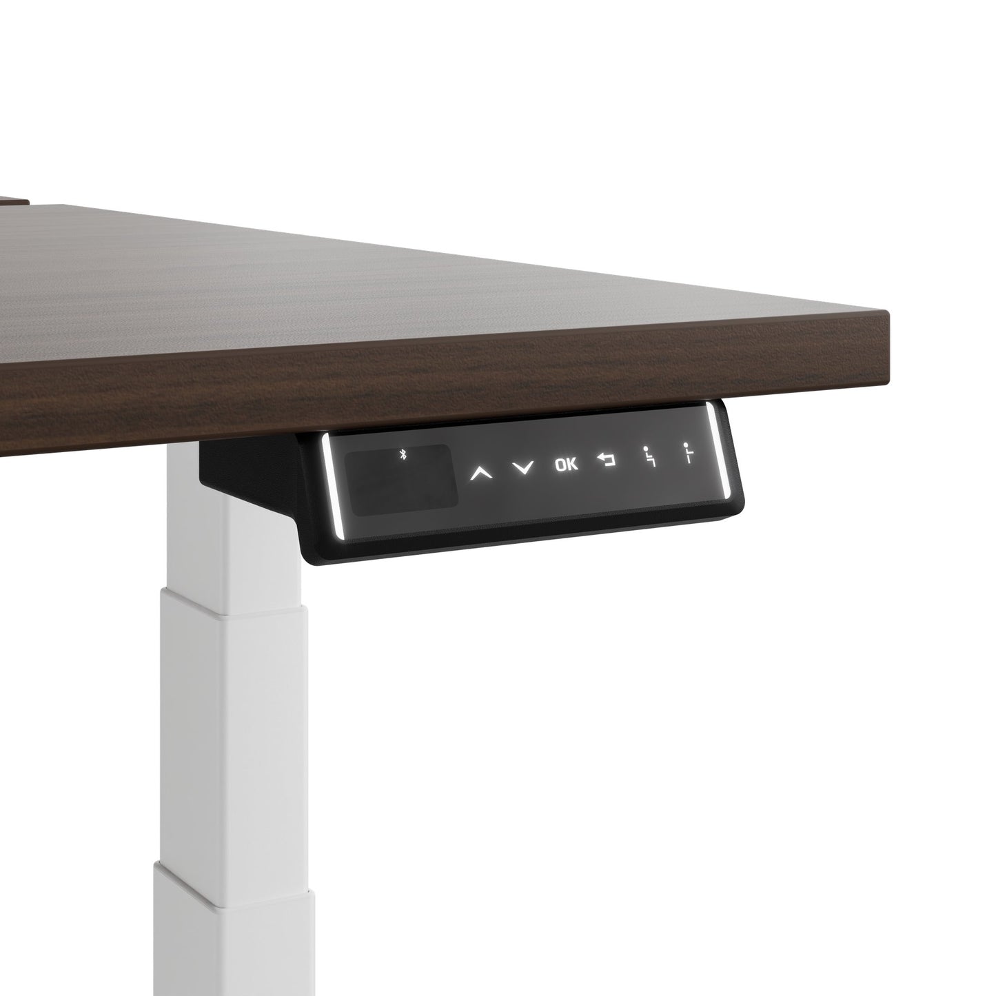 TELDRA Pro Team-Schreibtisch | 1600-1800 mm, elektrisch höhenverstellbar, Nussbaum