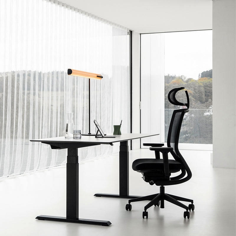 Wagner - TITAN Green Black Edition | 5-Fuß-Gestell, Synchronmechanik, Dondola®-3D-Sitzgelenk - 6 Main Image