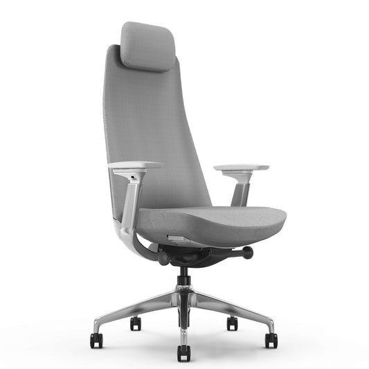 YUCAN Chaise oscillante de bureau | Accoudoirs 4d, mécanique synchrone, gris argenté